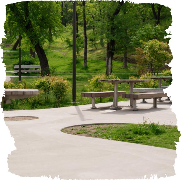 Tree Plaza with Seating